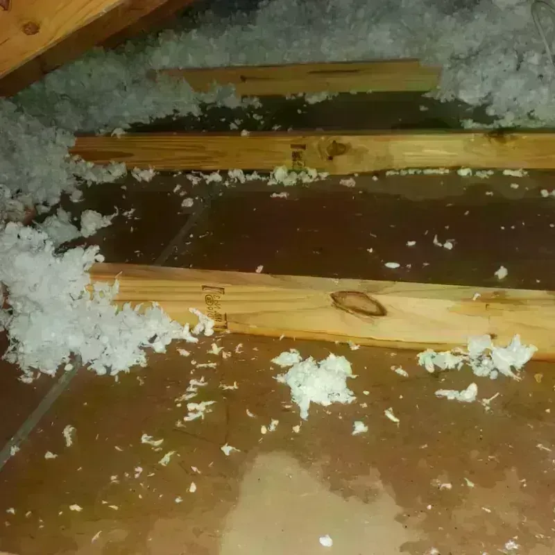 Attic Water Damage in Vincent, AL