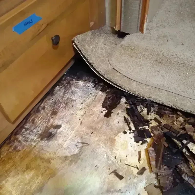 Wood Floor Water Damage in Vincent, AL